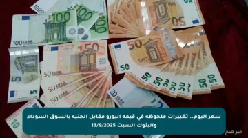 سعر اليوم.. تغييرات ملحوظة في قيمة اليورو مقابل الجنيه بالسوق السوداء والبنوك السبت 13/9/2025